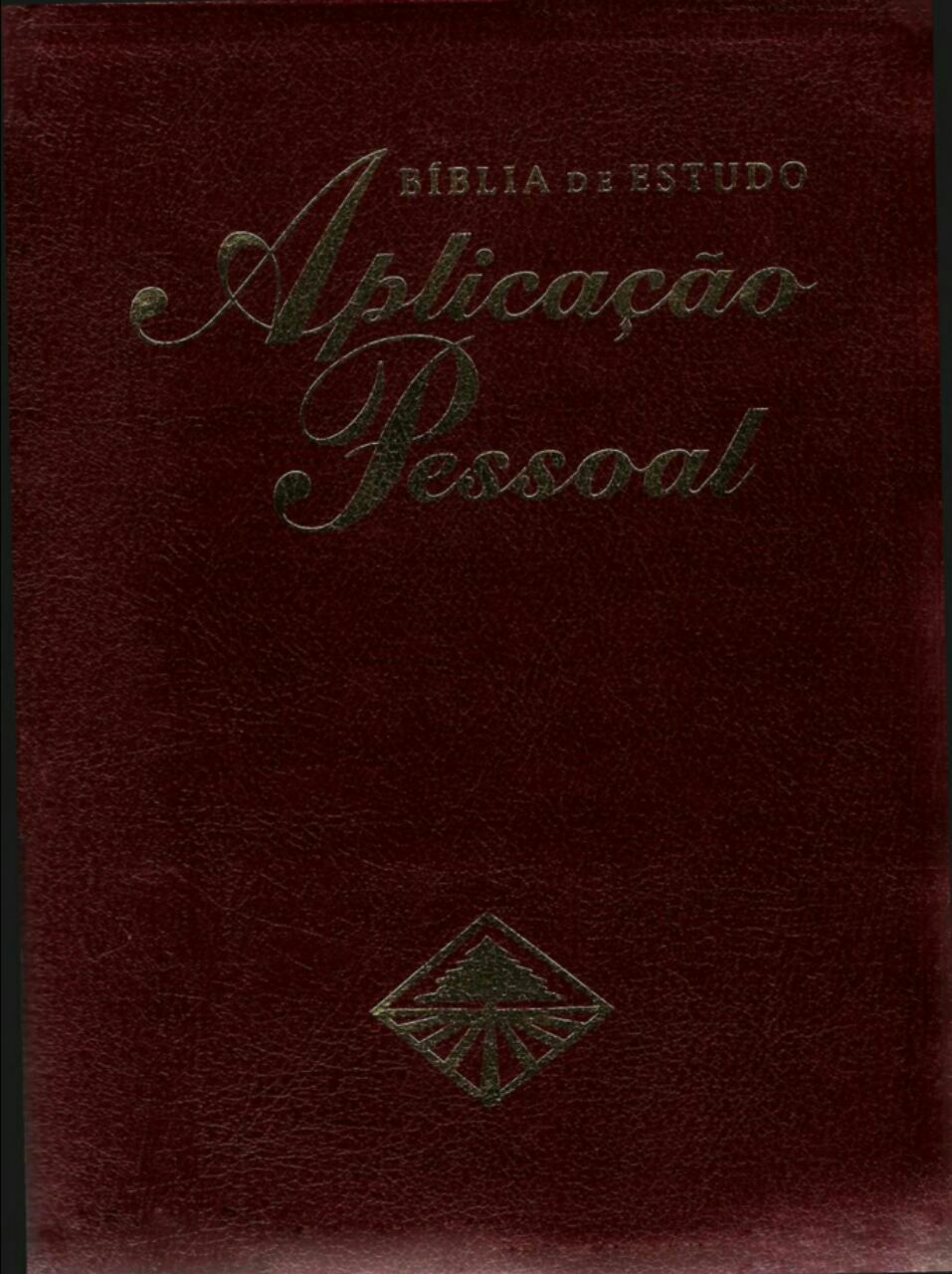 Biblia de Estudo Aplicação Pessoal