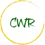 Cidadão Web Rádio