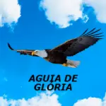 Rádio Aguia de Glória