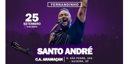 Fernandinho - Santo André